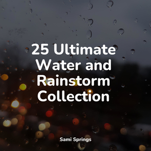 Woodland Ambience (Birds)