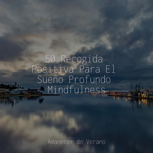 Desplegando Ilusiones