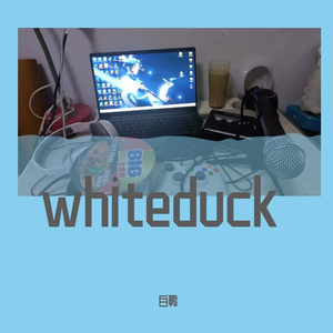 white duck prodbyroccky