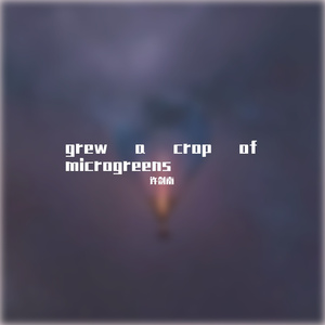 grew a crop of microgreens