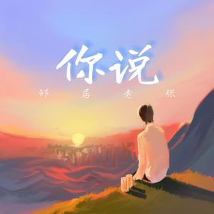 你说(录音室版）