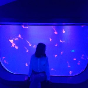 Demo(未命名伴奏）