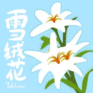 雪绒花 (哼版哄睡经典儿歌)