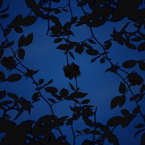 Fly Away (Radiation)