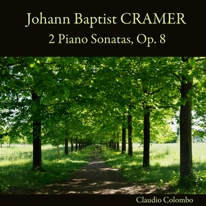 Piano Sonata, Op. 8 No. 1: II. Andante