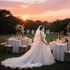 十平米的房间 (Remix)