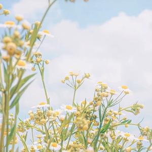 待签收（Cover 朱正廷）（翻自 朱正廷）