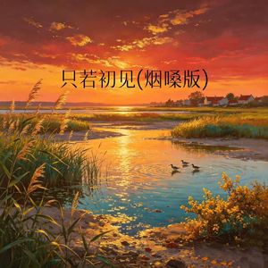 只若初见(烟嗓版)