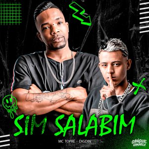 Sim Salabim