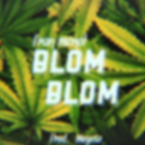 Blom Blom