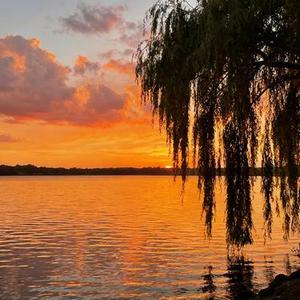 怎么骗自己才能放下你 (烟嗓合唱版)