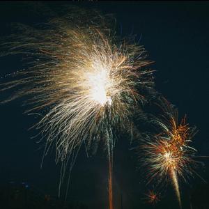 小白（翻自 星弟）