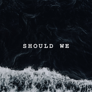 Should We(feat. 牛顿同学)