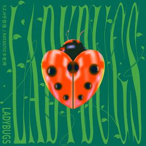 Ladybugs