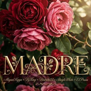 MADRE X MiguelNigga X DjKmy X SheyloWhite X ElPossu
