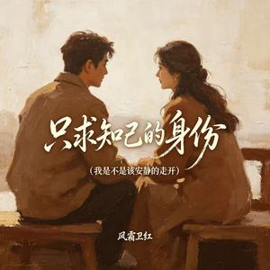 只求知己的身份（我是不是该安静的走开）