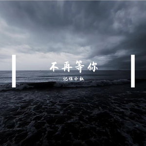 不再等你