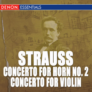 Concerto for Violin and Orchestra in D Minor, Op. 8: I. Allegro