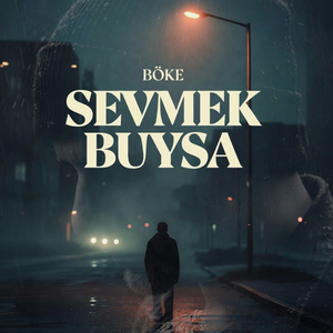 Sevmek Buysa