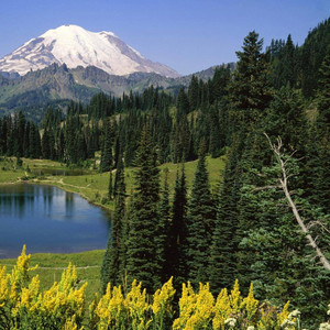 你是一本晦涩难懂的书