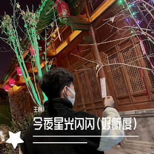 今夜星光闪闪（好听度）