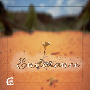 Endurance