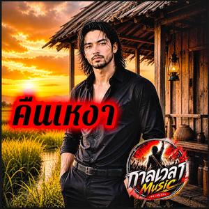 คืนเหงา