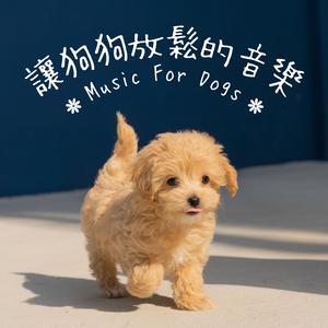小狗放松音乐