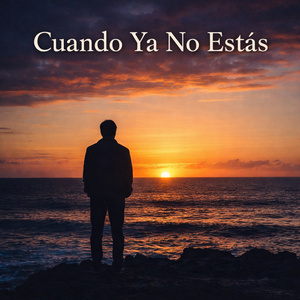 No supimos llegar
