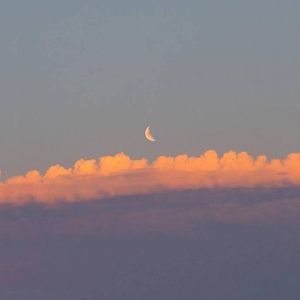 没收（Mr五条喵 remix）