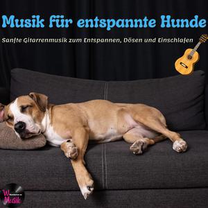 Hunde-Entspannungsmusik – Da fallen die Äuglein zu