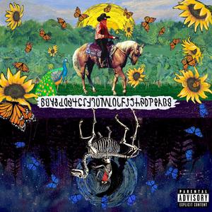 Heartbreak Rodeo. (feat. Goldielxcs)