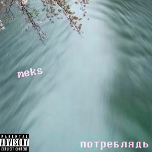 Потреблядь