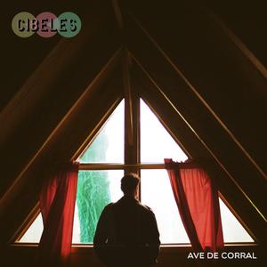 Ave de Corral