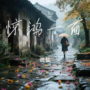 惊鸿一面 (疏黎 Remix)
