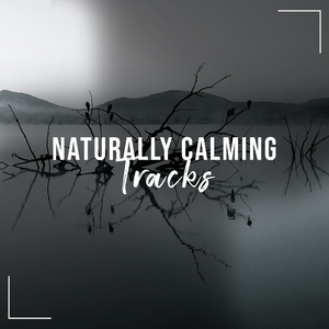 Droplets on the Horizon