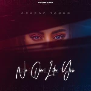 No One Like You