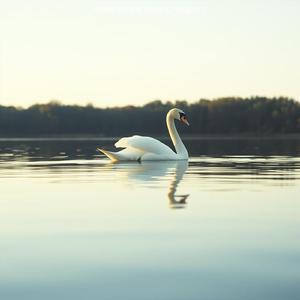 Glitter Giggly Groove