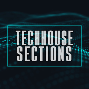 Animal Instinct (Model 1975 Remix)