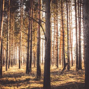 柔和的做梦时刻