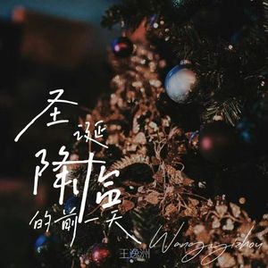 圣诞降临的前一天