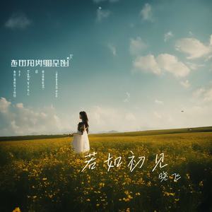 若如初见