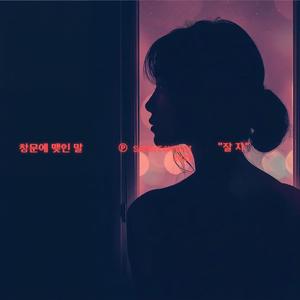 창문에 맺힌 말