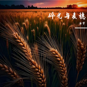 碎光与麦穗