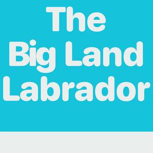 The Big Land Labrador