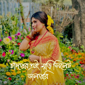 চাঁদপুর এই মুড়ি সিলেট ডালপুরি