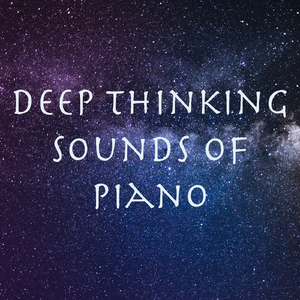 Concerto for Piano and Orchestra No 2 in D major, Hob 18: I