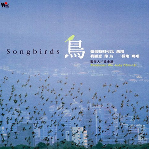 他所翱翔的天空