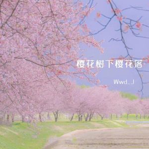 桜の木の下に桜が散る（樱花树下樱花落）