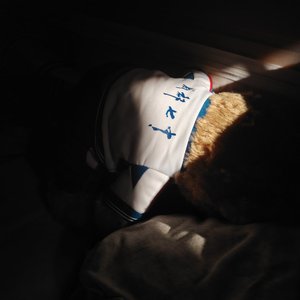 火把火把烧小了